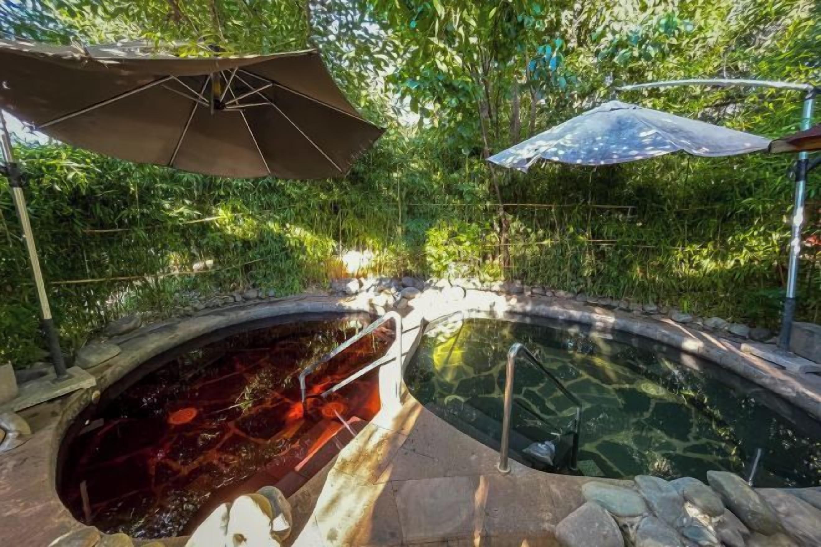 A hot tub with a stone surround, surrounded by lush greenery and shaded by umbrellas.