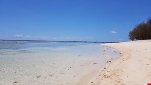 Beach nearby - Sun n the Sea House (Malindi)