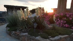 Un jardín con muros de piedra, diversas plantas y un sendero.