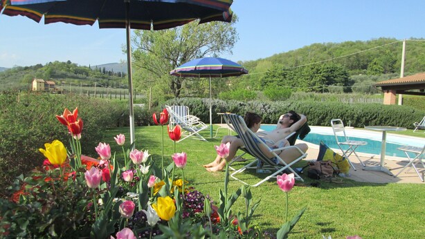 A poolside area with two lounge chairs, a colorful umbrella, and a garden with tulips.