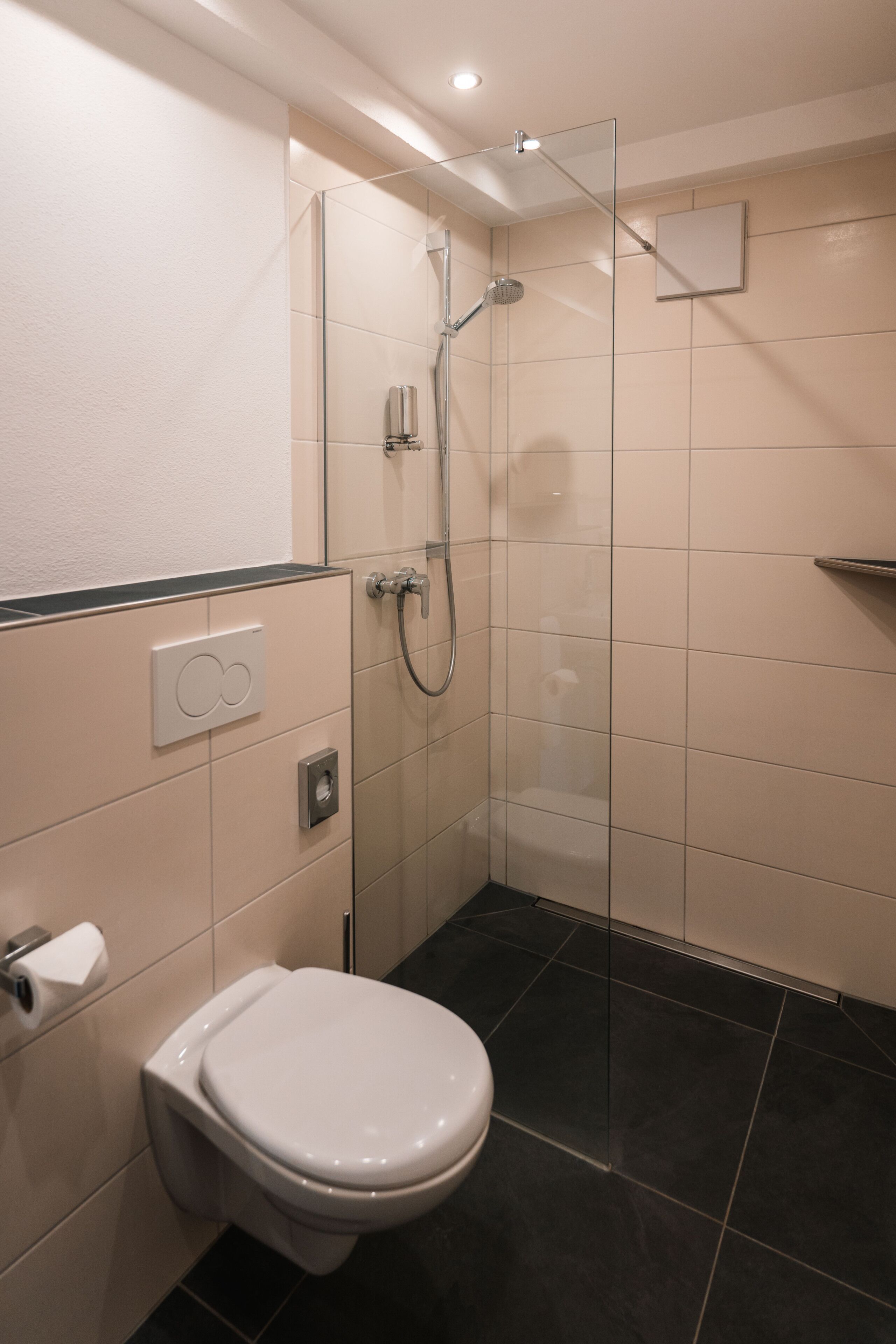 A modern bathroom with a toilet, a glass-enclosed shower, and a wall-mounted towel rack.