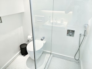 A modern bathroom with a glass shower enclosure, a toilet, and a sink.