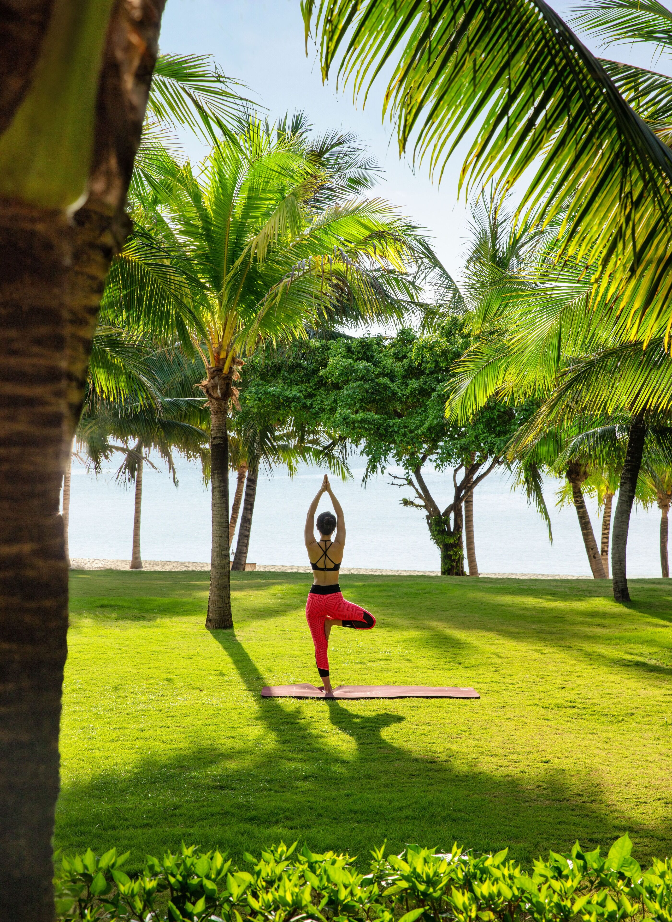 A person performing yoga on a mat in a grassy area with palm trees and a body of water in the background.