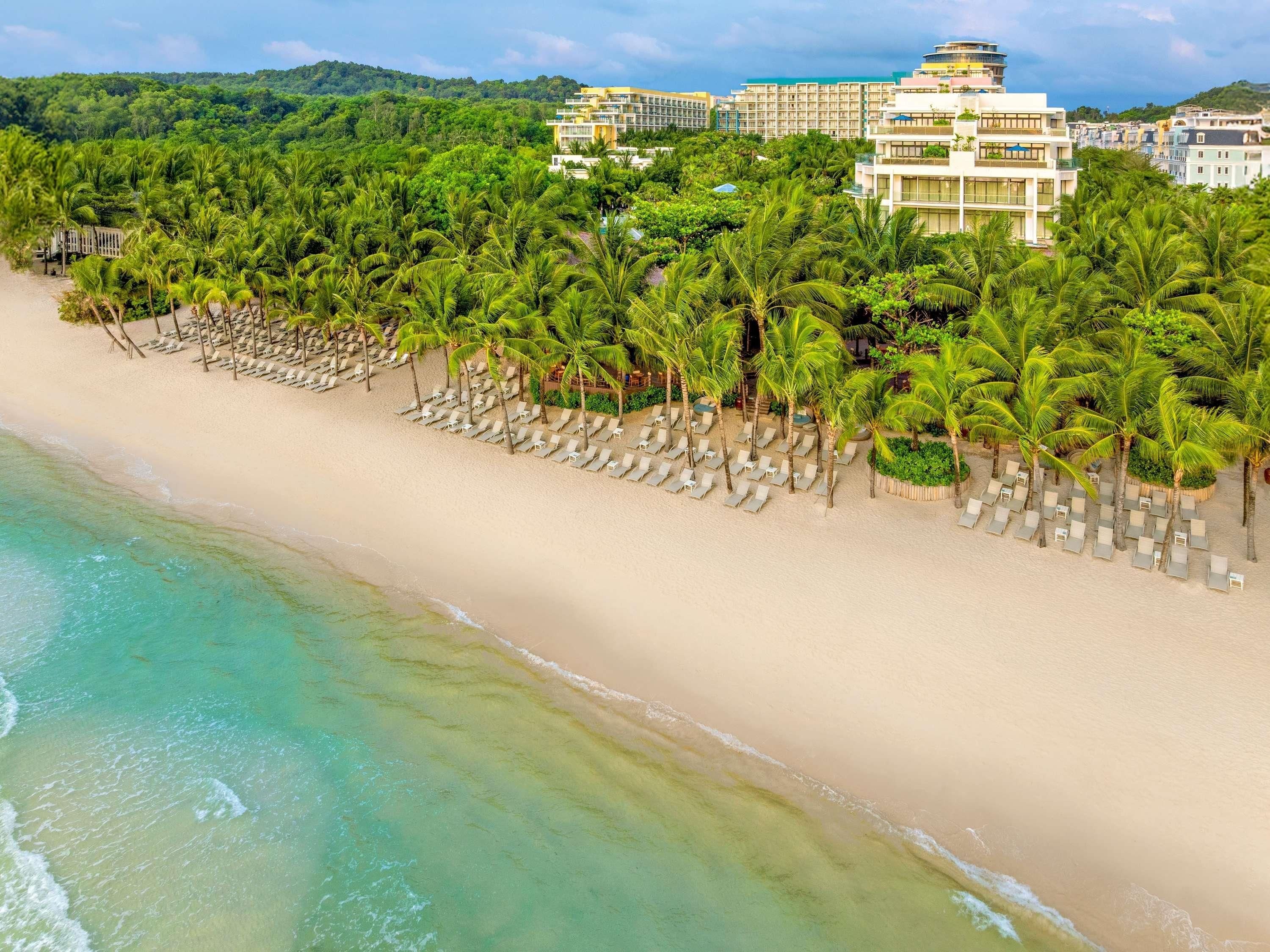 A beach with rows of palm trees and lounge chairs, a sandy shore, and a hotel complex in the background.