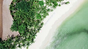 Vista aérea de una playa con palmeras frondosas y una orilla arenosa.