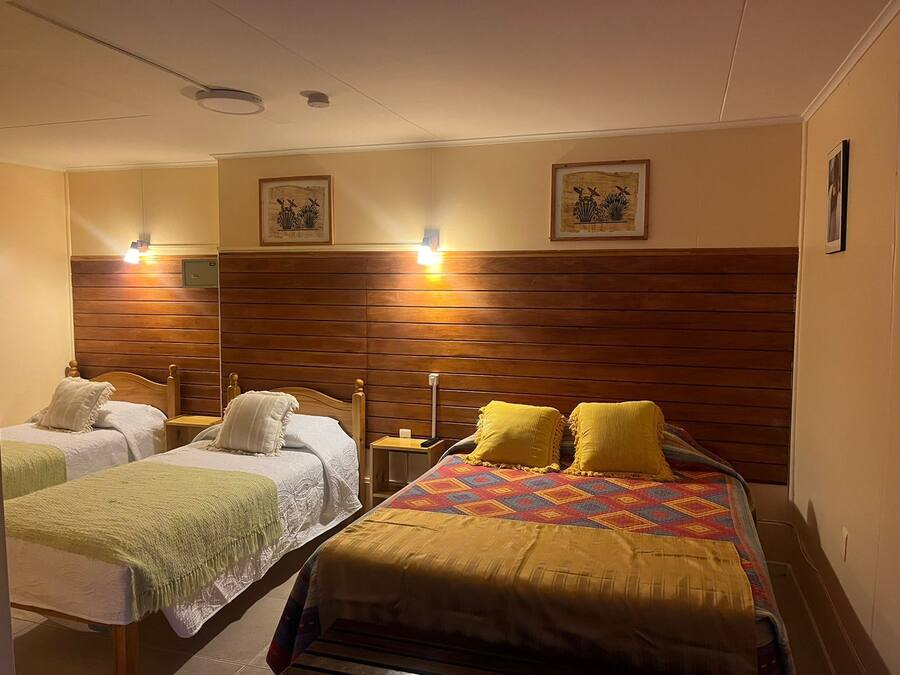 Una habitación de hotel con dos camas individuales, cabeceros de madera y dos luces fijadas a la pared.