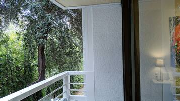 Departamento básico, balcón (A3) | Terraza o patio