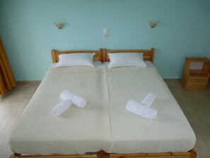 Premium Double or Twin Room | In-room safe, desk, laptop workspace, soundproofing