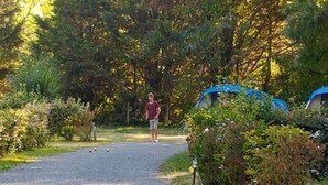 Property grounds - Camping La Clé des Champs (Arces)