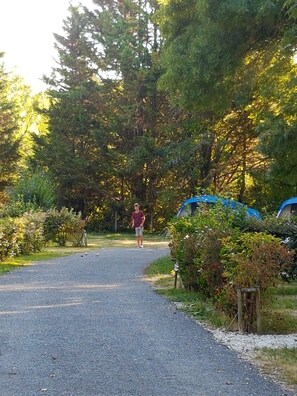 Property grounds - Camping La Clé des Champs (Arces)