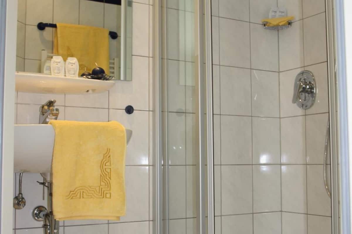 shower, free toiletries, hair dryer, towels