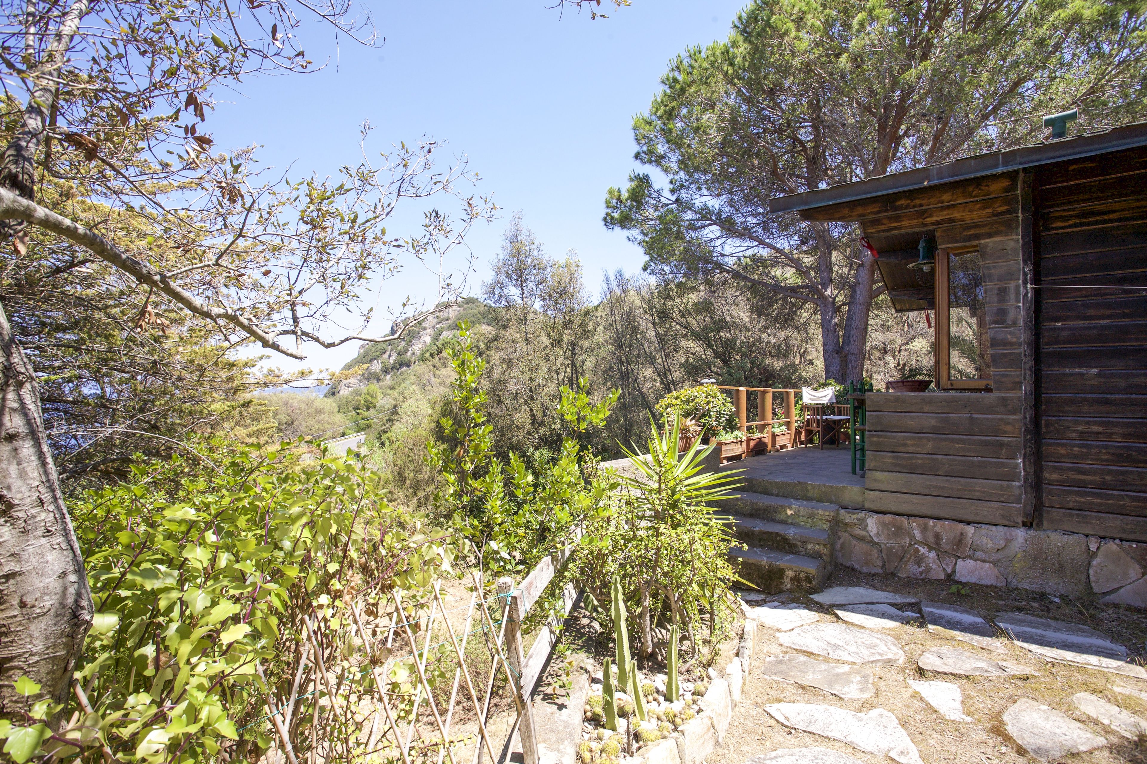 A rustic cabin with a stone pathway leading to a wooden deck, surrounded by lush greenery and trees.