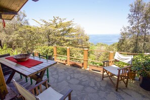 Alpehytte | Terrasse/gårdhave