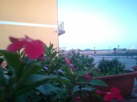 Un balcón con plantas en macetas y vista a un edificio lejano.