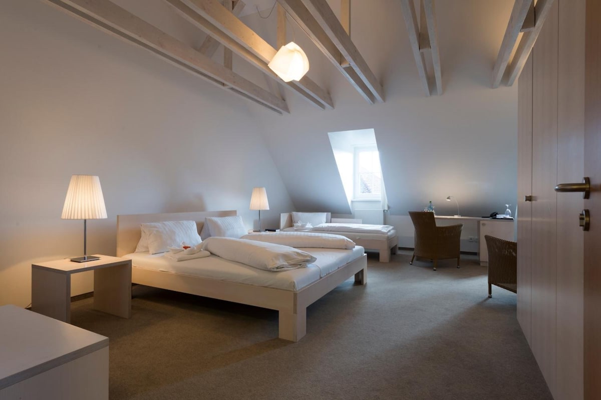 A modern bedroom with two beds, a desk, and a chair.
