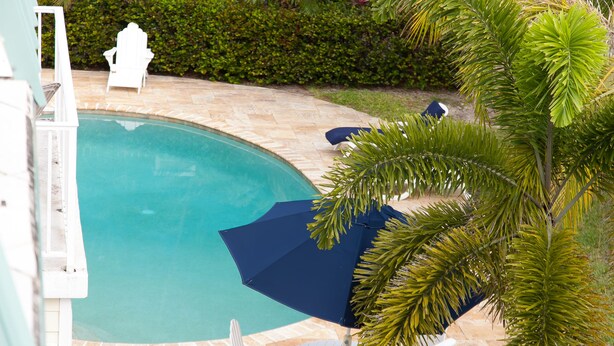 Piscina con bordo bianco, circondata da palme e una sedia bianca.