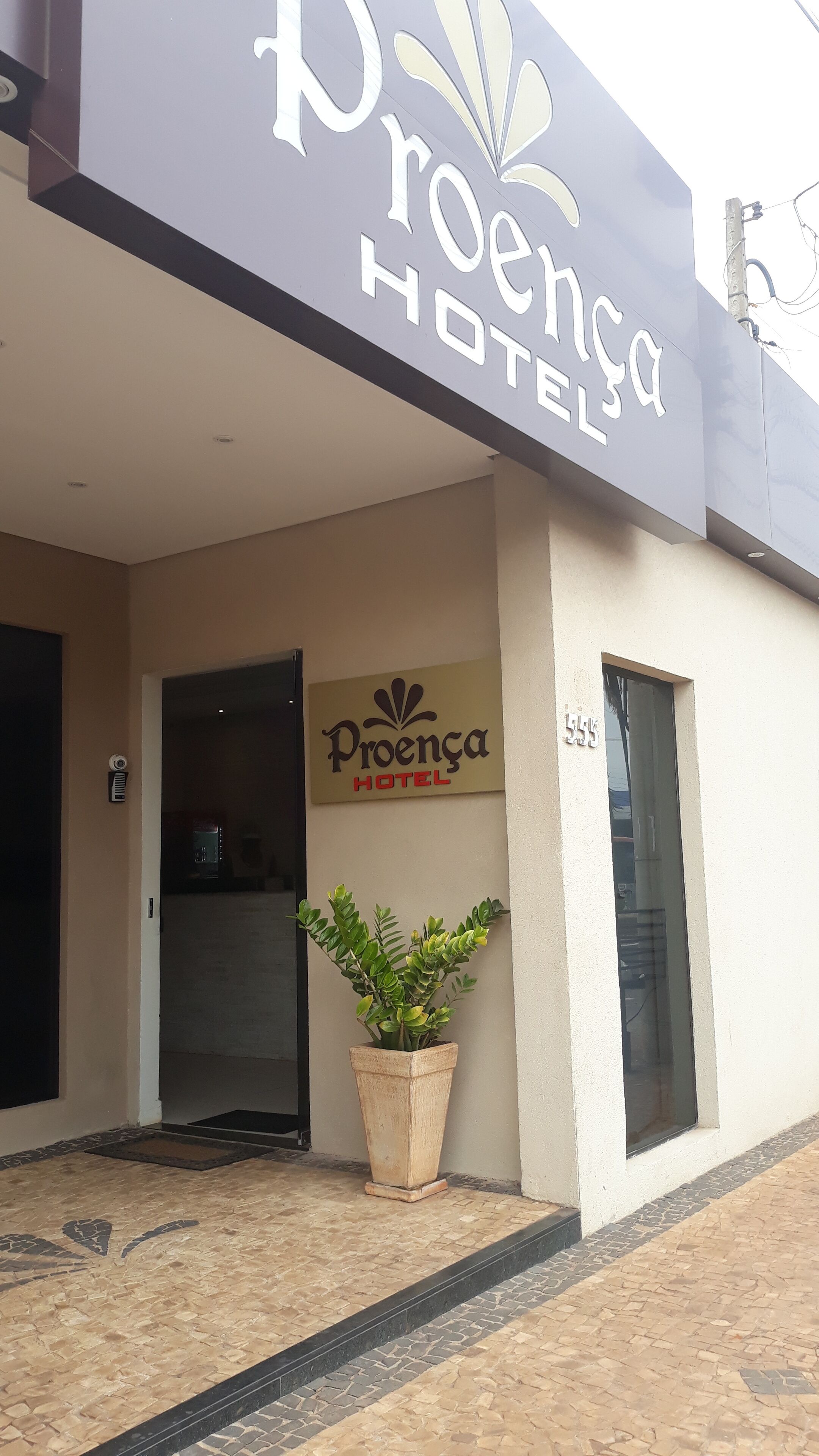 The exterior of Proenca Hotel with a large potted plant in front.