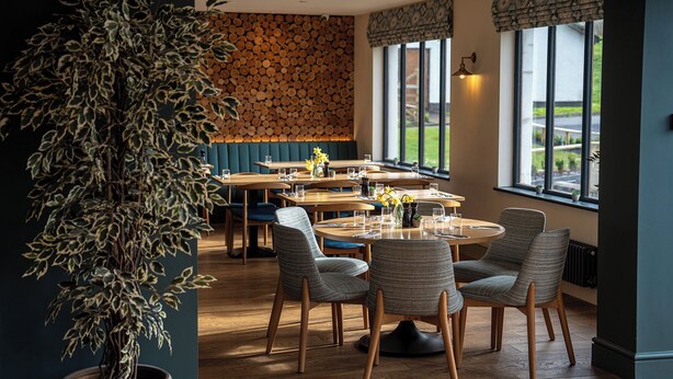 Un restaurante con mesas redondas, sillas y una gran planta en maceta.