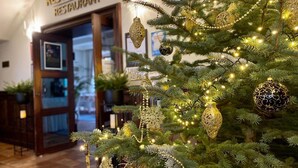 A Christmas tree with lights and ornaments in front of a restaurant entrance. - Pałac w Rymaniu (Ryman)