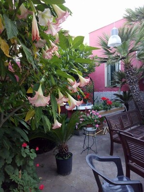 Property grounds - Dimora Benedetta (Bari)