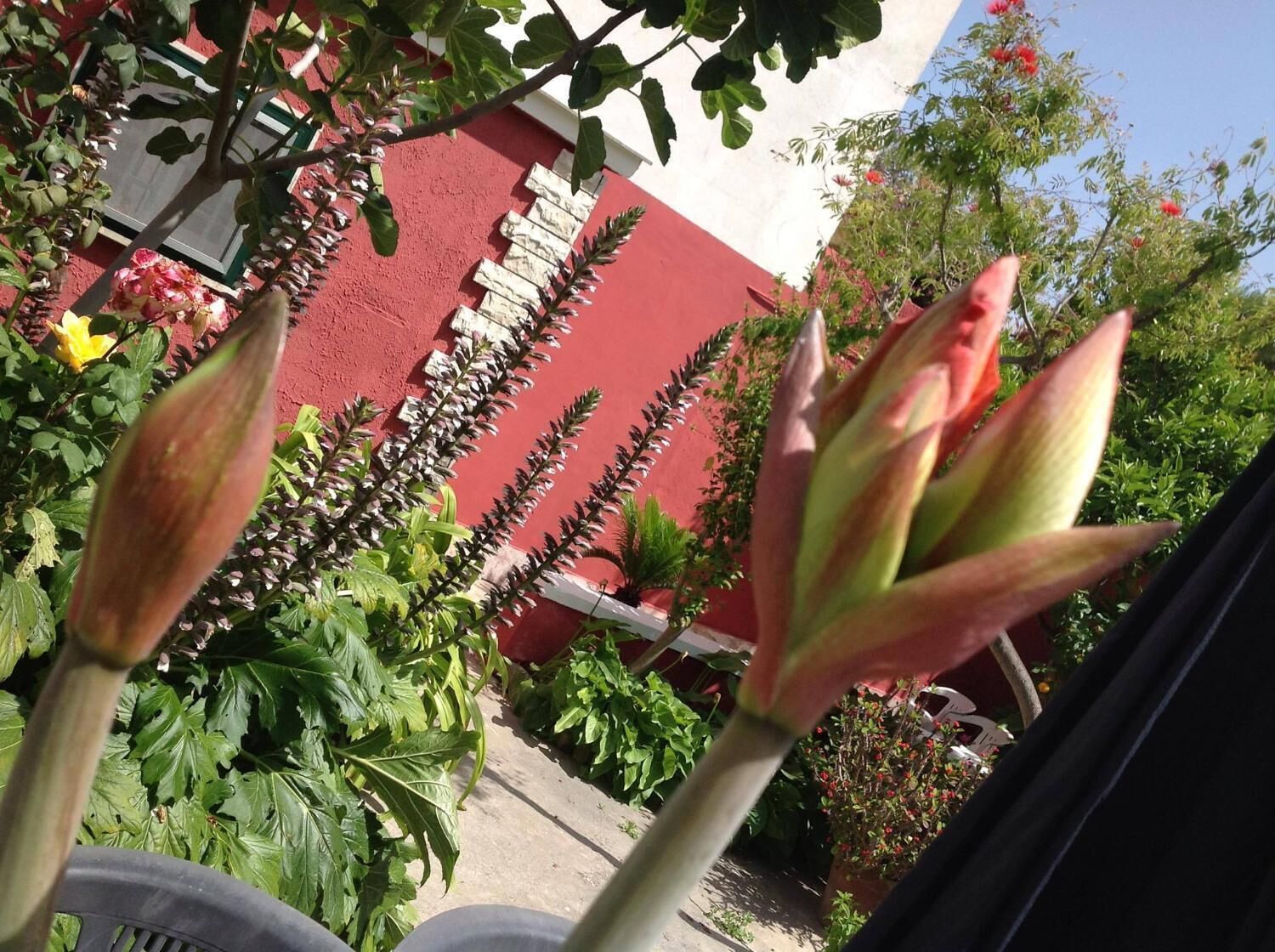 Foto - Dimora Benedetta 2 0