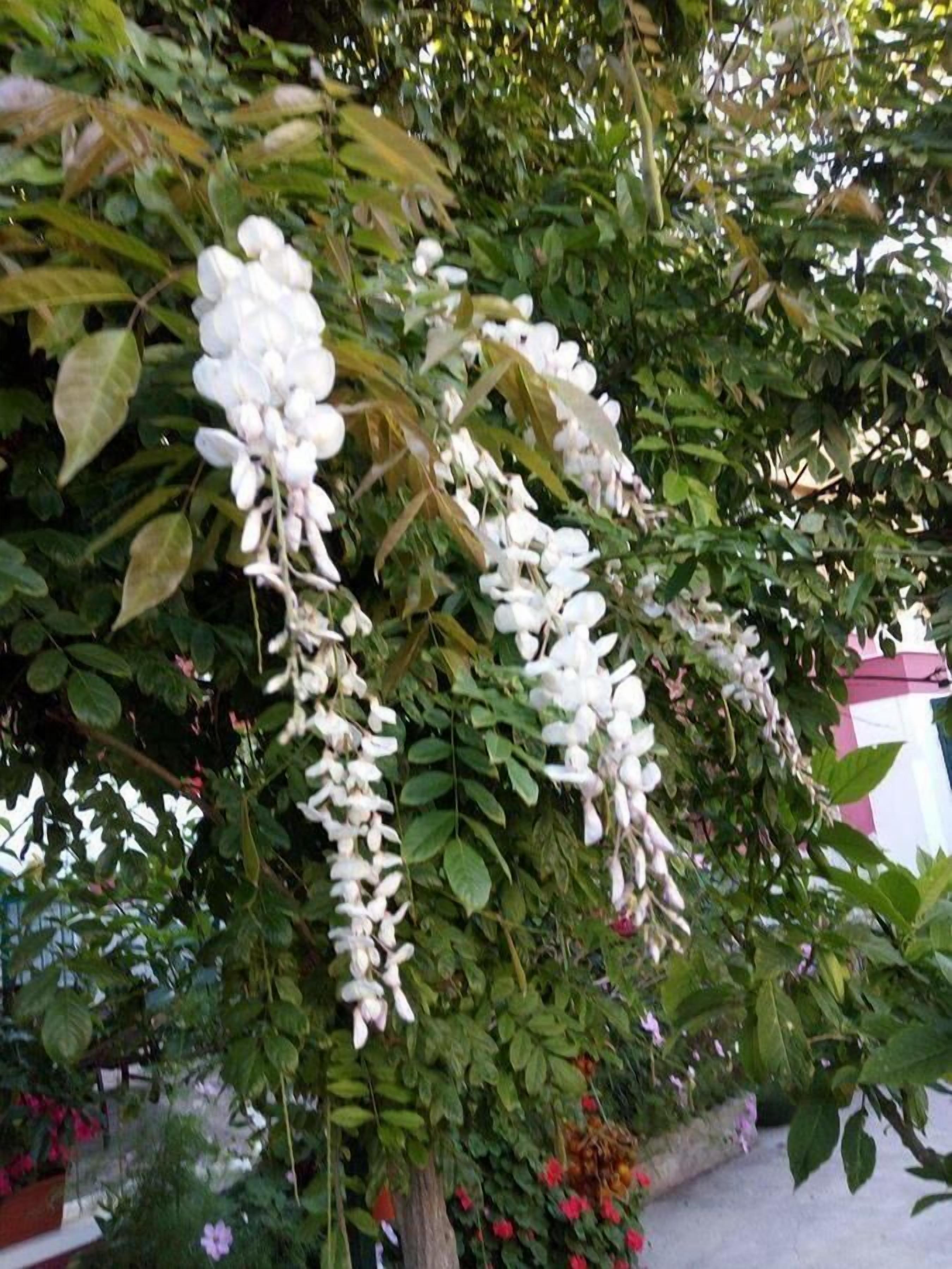 Foto - Dimora Benedetta 2 0