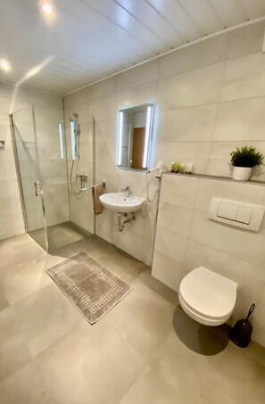 Ducha, secador de pelo, toallas