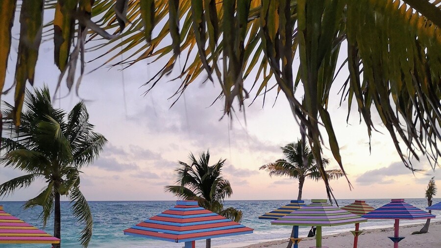 Coral Beach Hotel and Condominiums