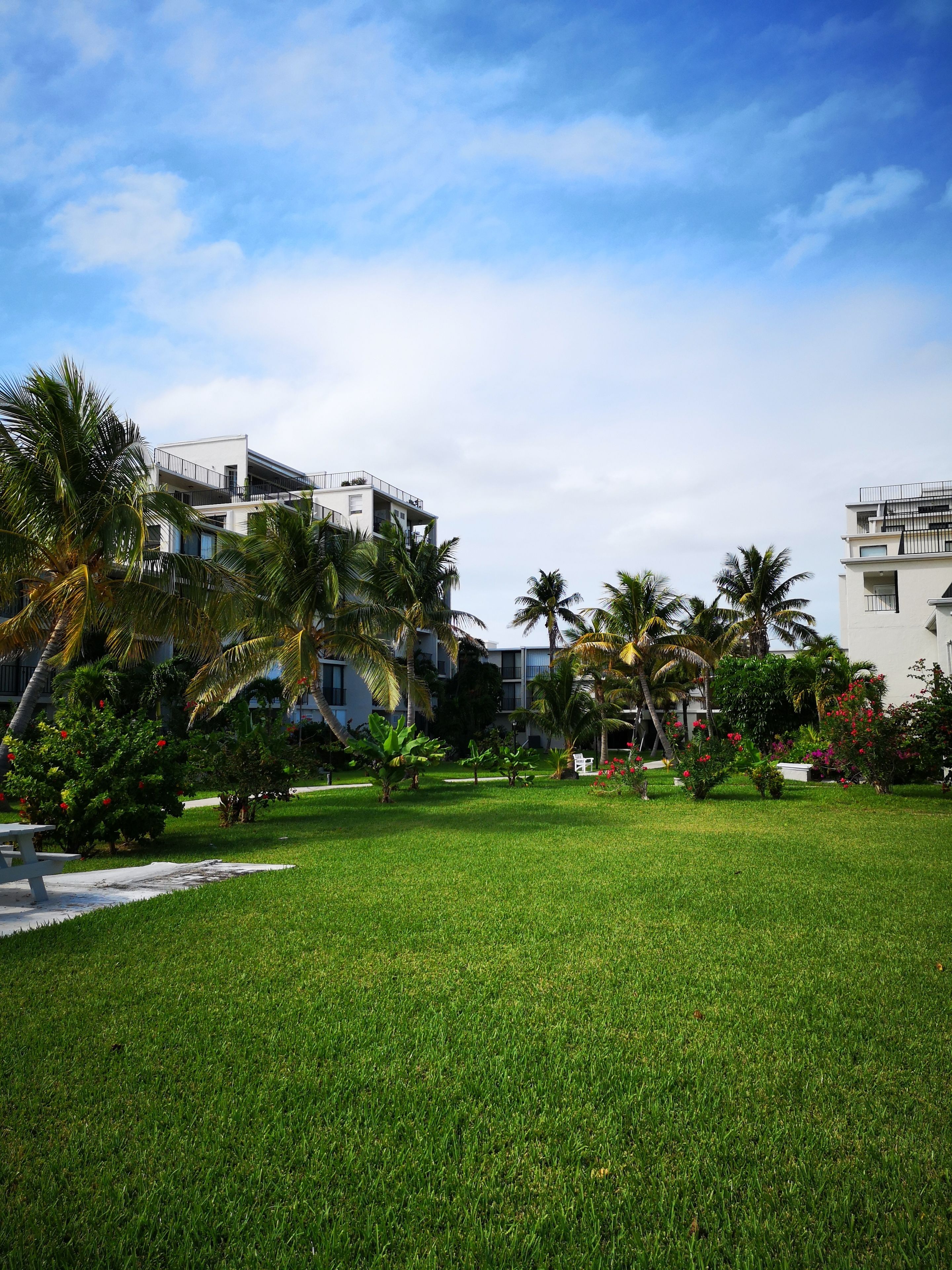 A well-maintained grassy area with palm trees and a modern building with balconies.