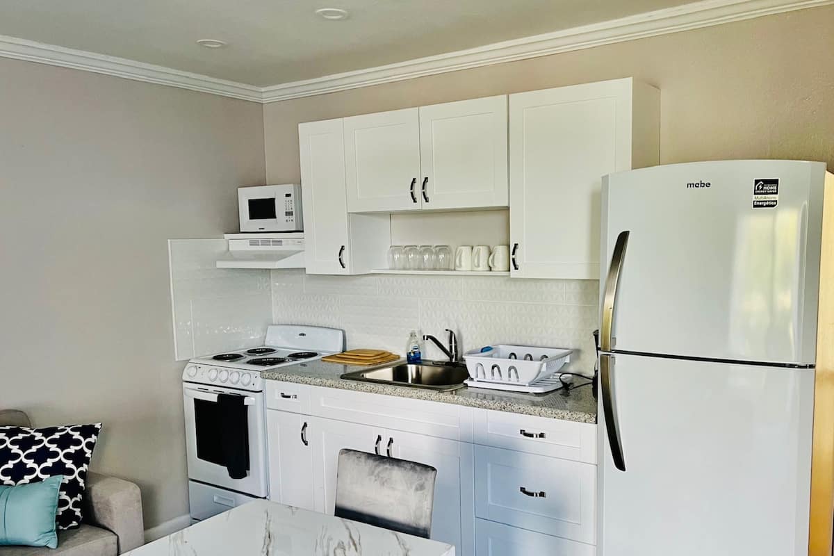 microwave, oven, stovetop, freezer