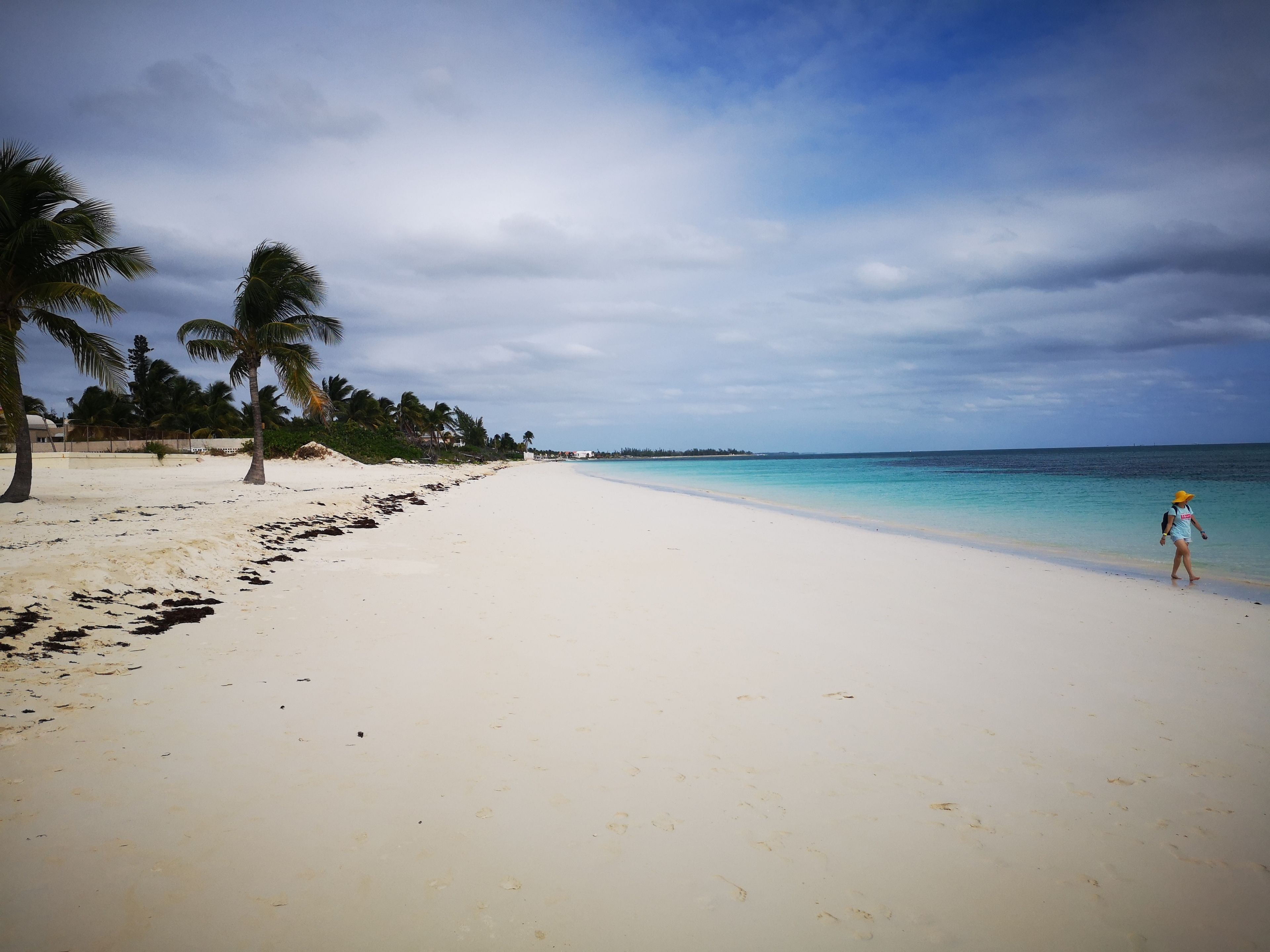 A beach with white sand, palm trees, and a person walking.
