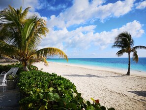Een strand met wit zand, palmbomen en een helderblauwe lucht.