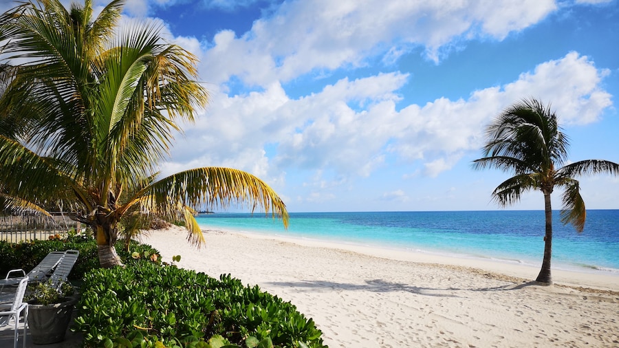 Coral Beach Hotel and Condominiums