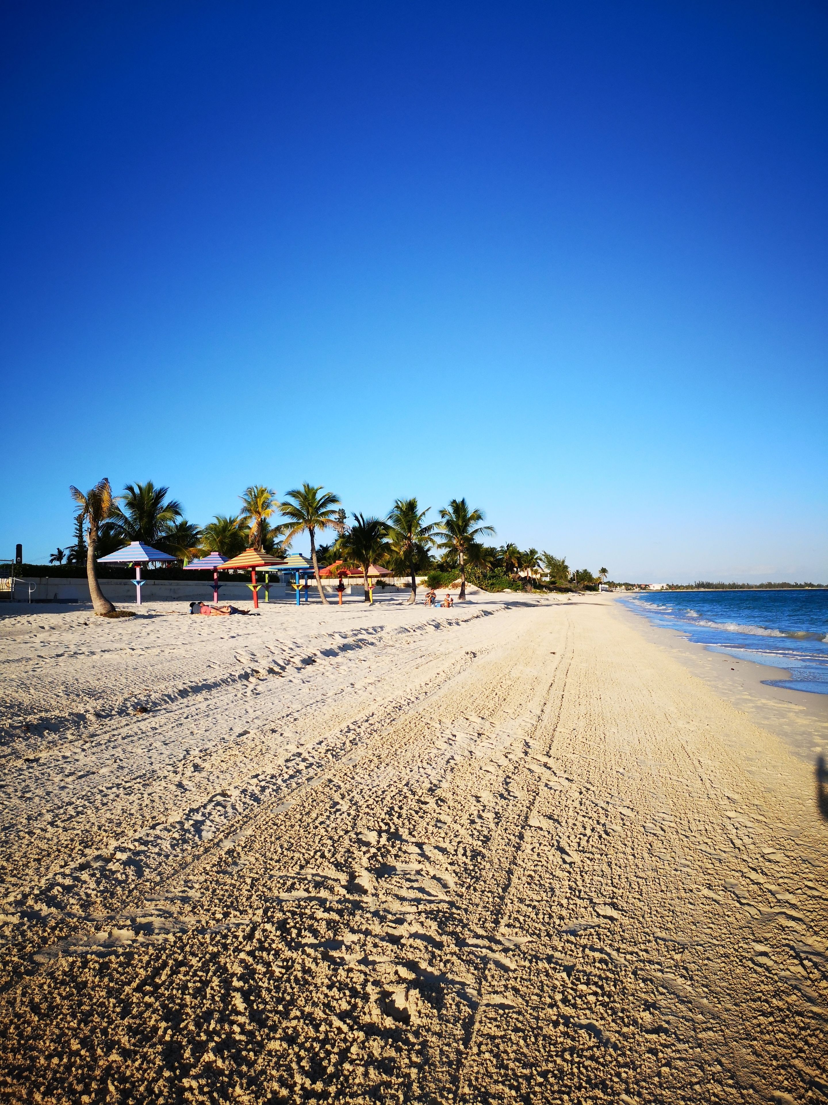 A beach with clear skies, palm trees, and a few umbrellas.