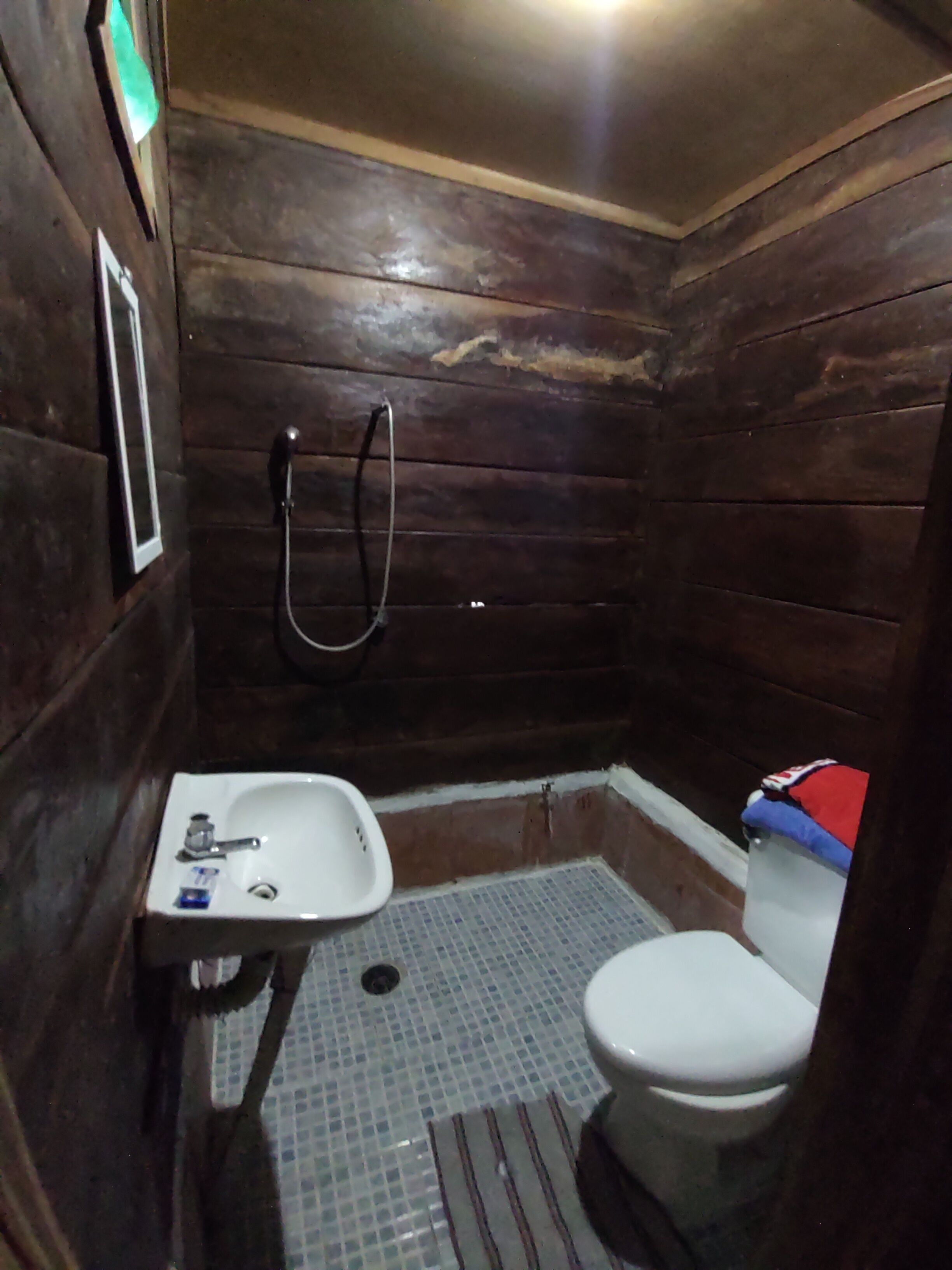 Habitación básica | Baño | Regadera y toallas 