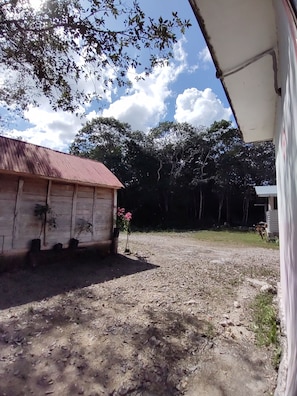 Vista desde la habitación