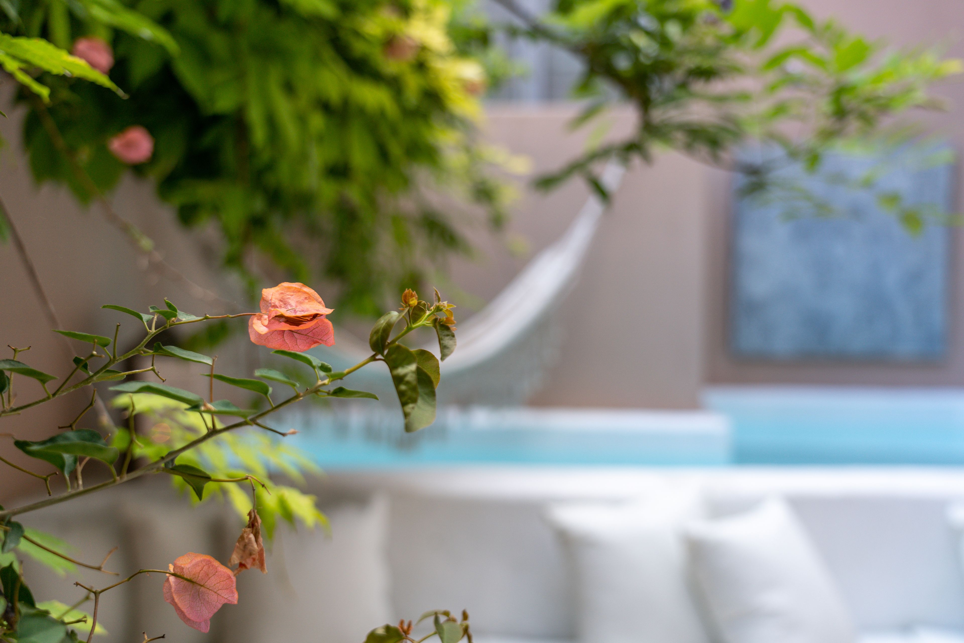 Photo - Garam Lisboa