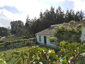 Garden - Stonewood Lodge (Ponta Delgada)