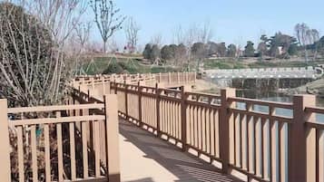 المنطقة المحيطة بالمنشأة
