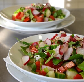 A plate of mixed greens salad with radishes and tomatoes.