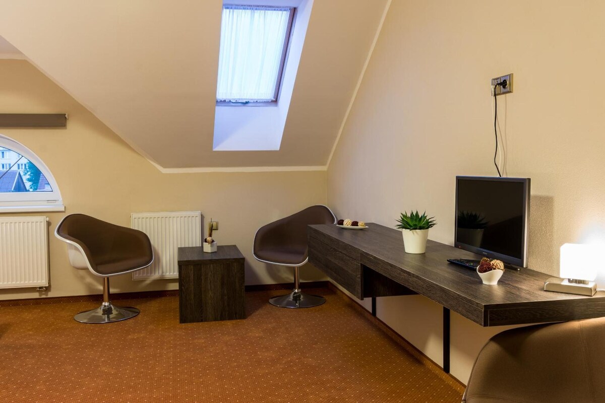 A modern room with a sloped ceiling, a skylight, a flat-screen TV, two chairs, a small table, and a potted plant.