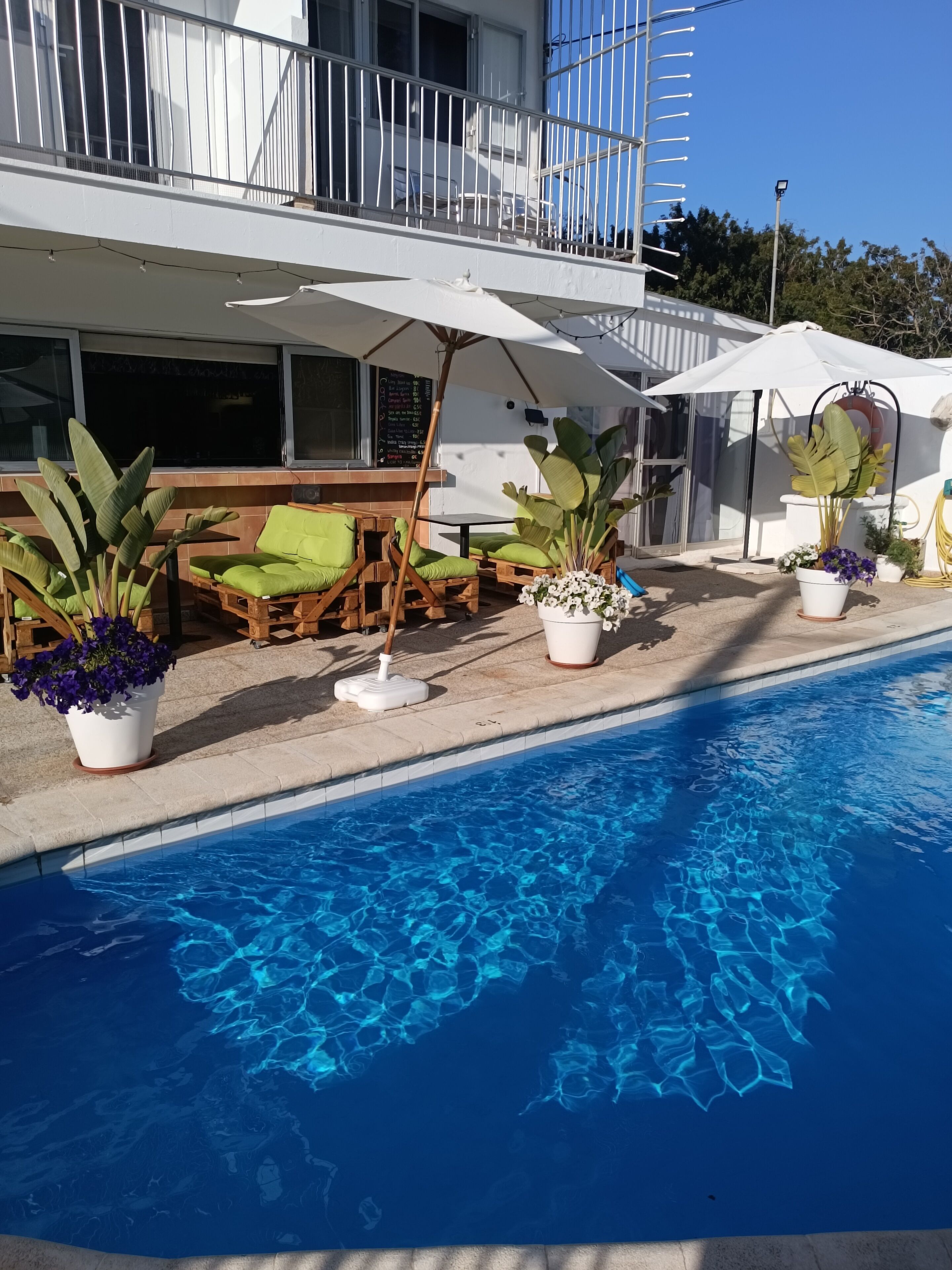 A poolside area with a clear blue pool, wooden lounge chairs, and potted plants.