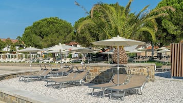 A poolside area with sun loungers, umbrellas, and a palm tree.