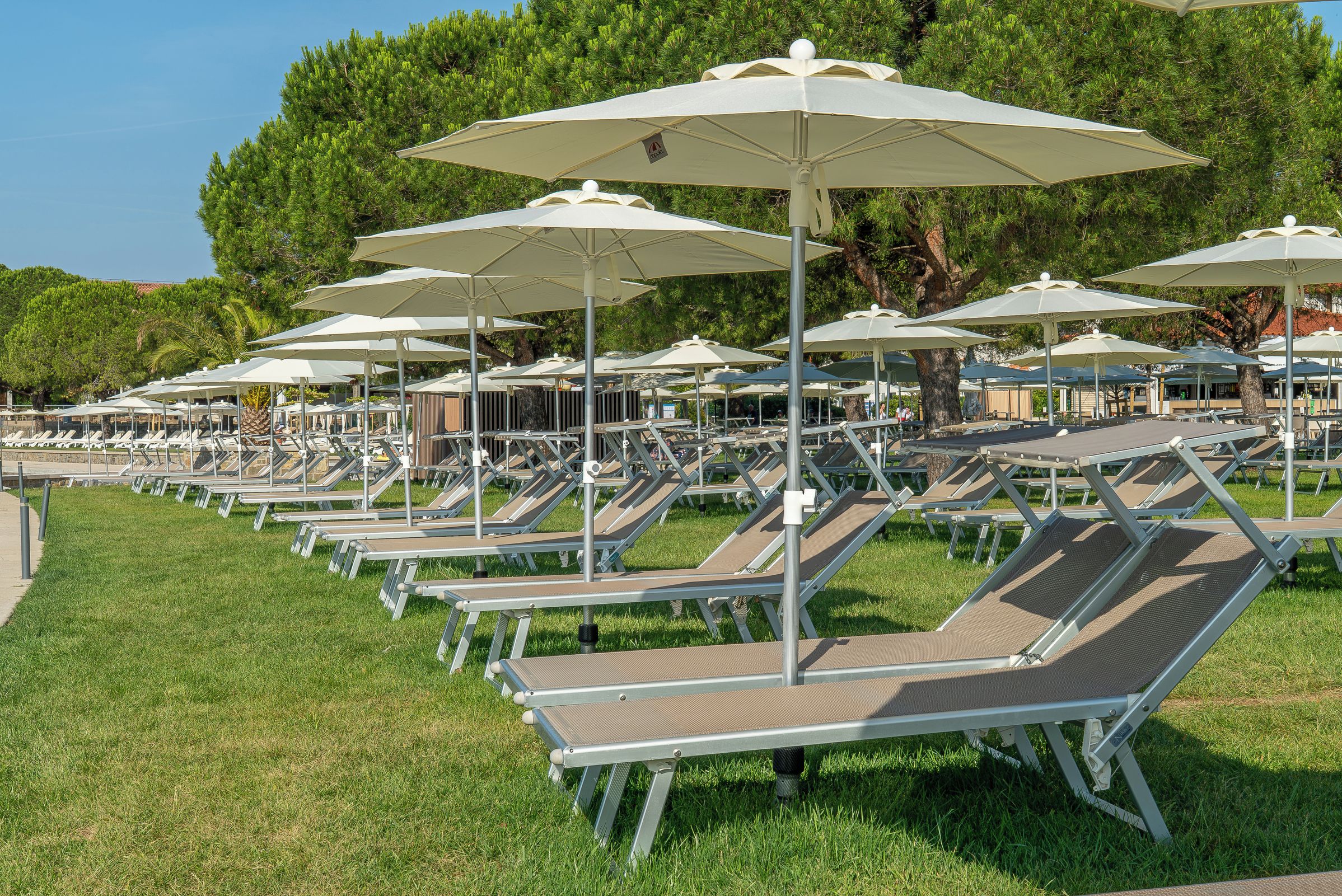 De nombreuses chaises longues, protégées par des parasols, sont disposées sur une pelouse, avec des arbres en arrière-plan.