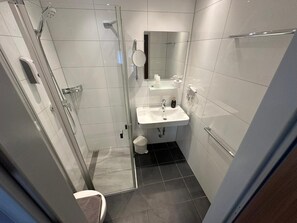 A modern bathroom with a glass shower enclosure, a white sink, and a mirror above it.