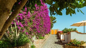 A pathway lined with vibrant pink flowers and a brick wall, leading to a building with a wooden door and a beige umbrella.
