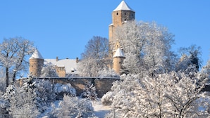 Een historisch kasteel met meerdere torens, omgeven door met sneeuw bedekte bomen en een stenen muur.