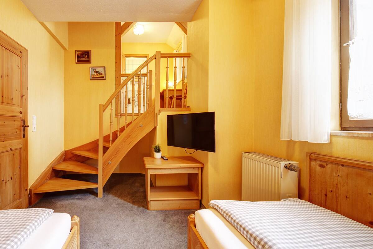 Habitación con dos camas, un televisor, una mesita con una planta y una escalera de madera.