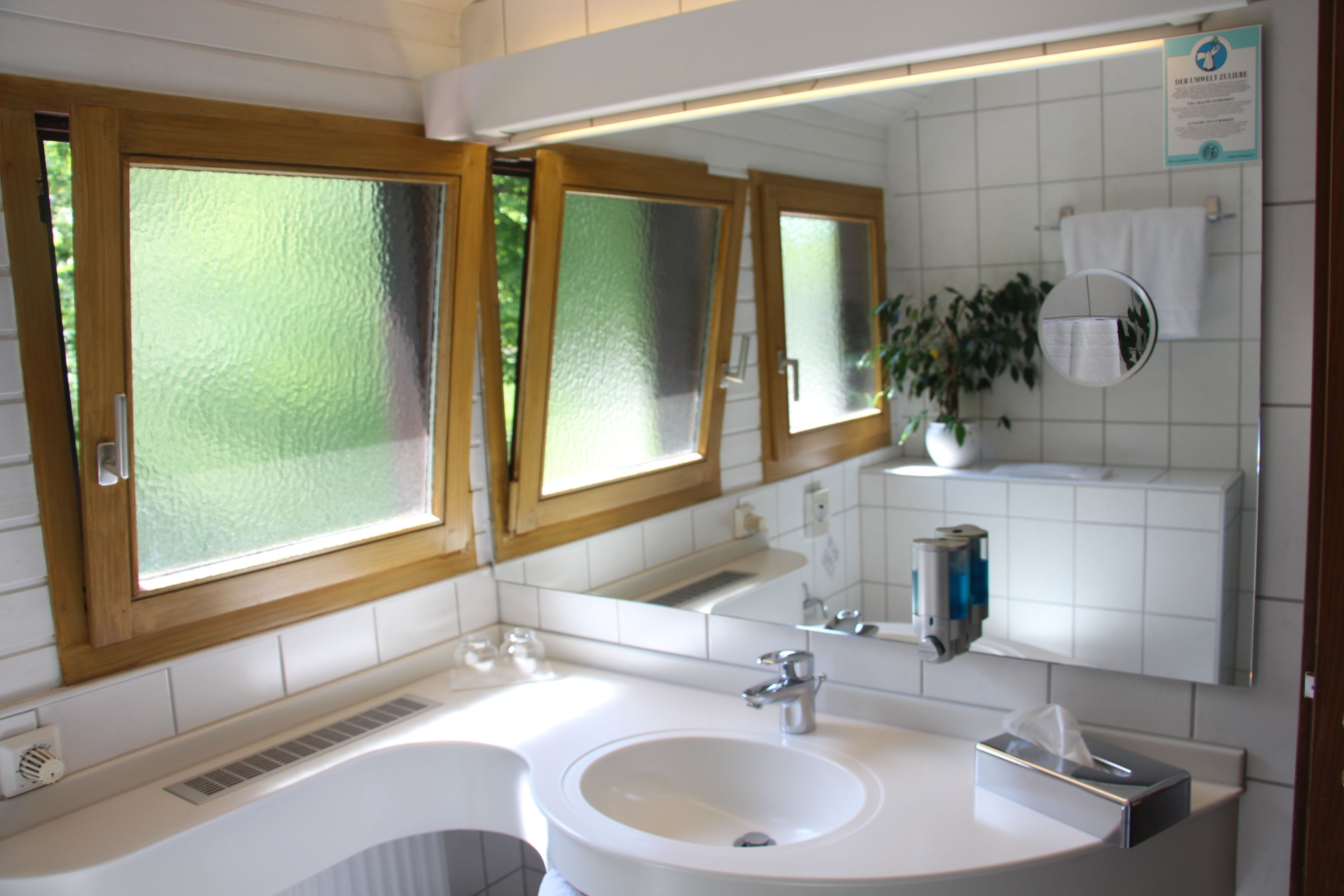 A bathroom with a large sink, two mirrors, a towel rack, and a potted plant.