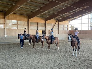 Horse riding - Pension & Reitschule Fuchsenhof (Neunburg vorm Wald)